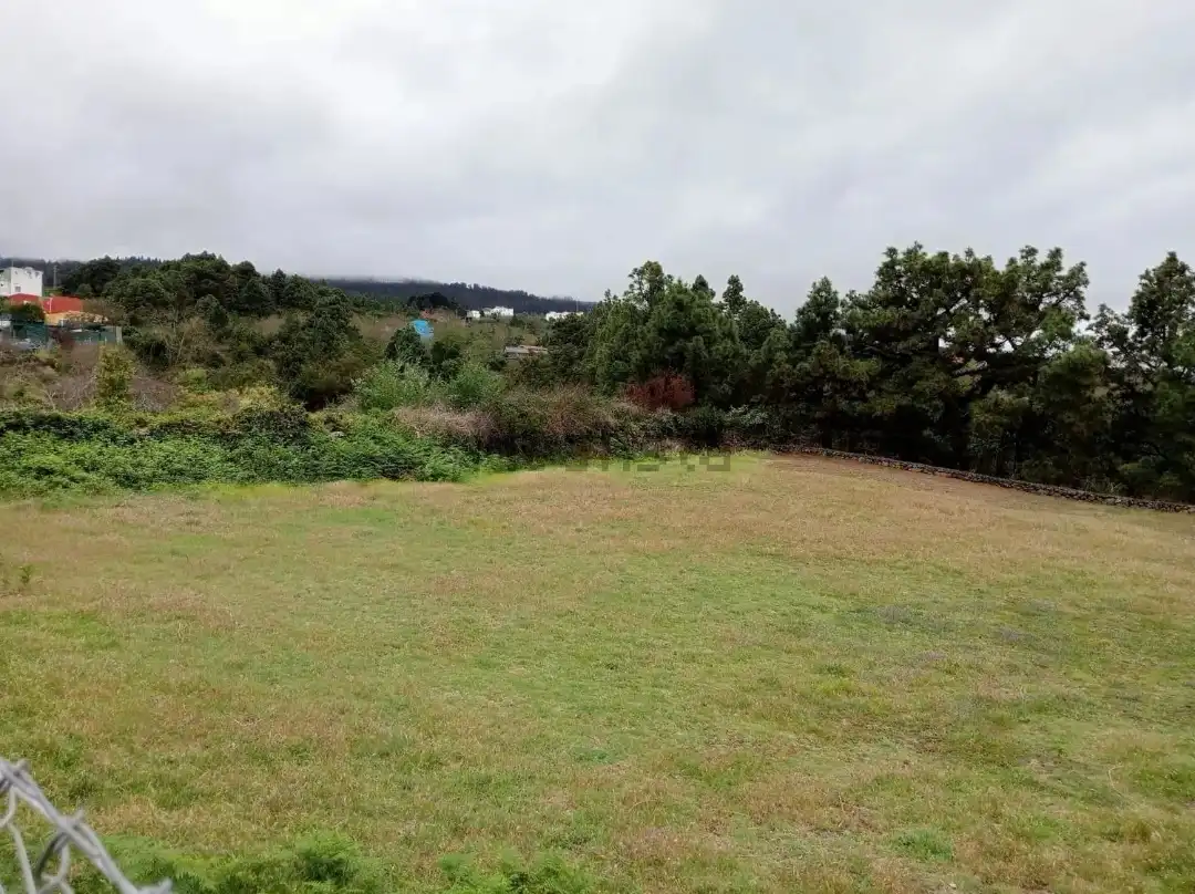 Grundstücke zum Verkauf in La Orotava