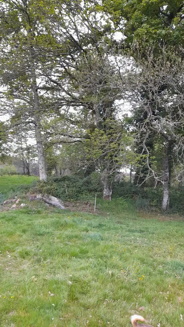 Finca rústica en venda en Friol