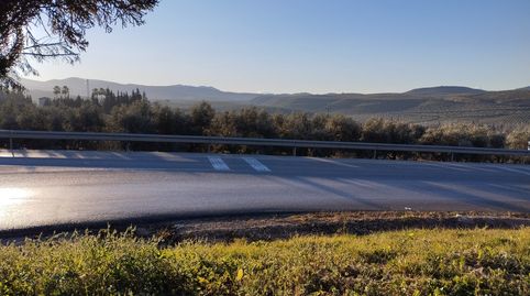 OLIVAR CON 83 M2 DE CONSTRUCCION EN ESCRITURA, immagine 3