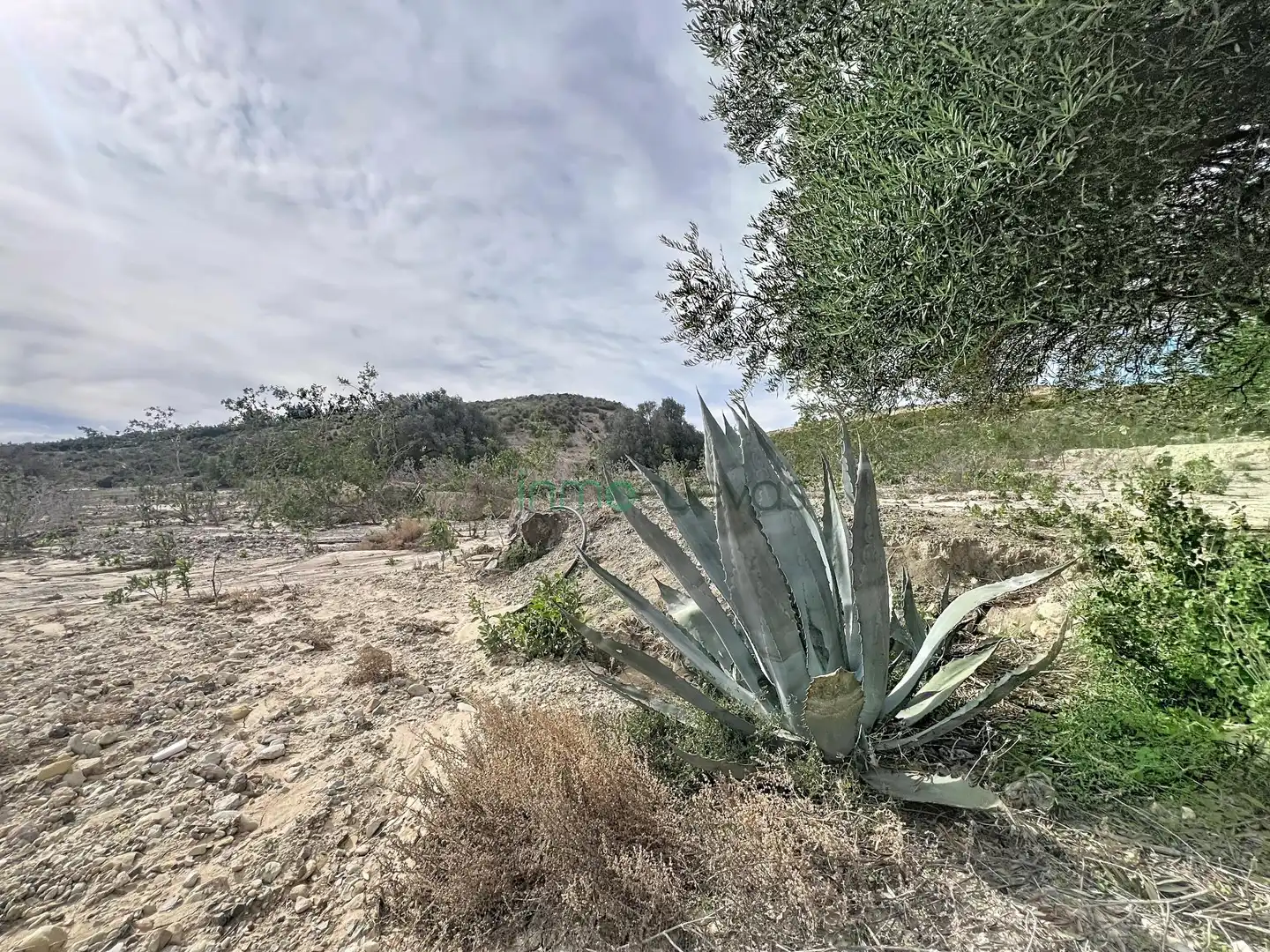 Landhaus mit Garten zum Verkauf in Las Cunas - La Algarrobina, imagen 15