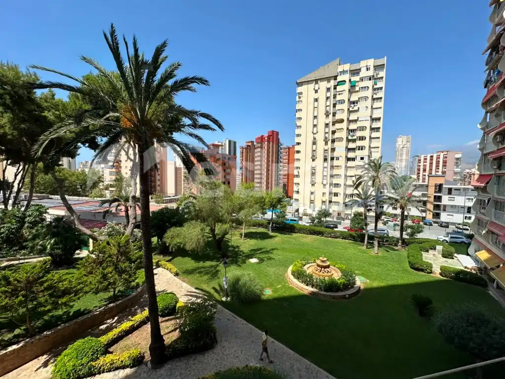 Vista exterior de Estudio en venta en Benidorm con Jardín privado, Piscina y Piscina comunitaria