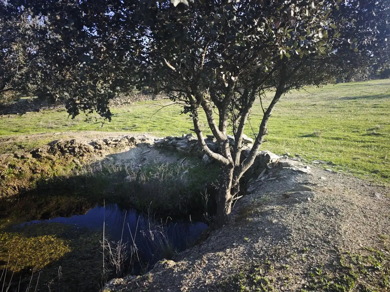 Planta baja en venta en Plasencia