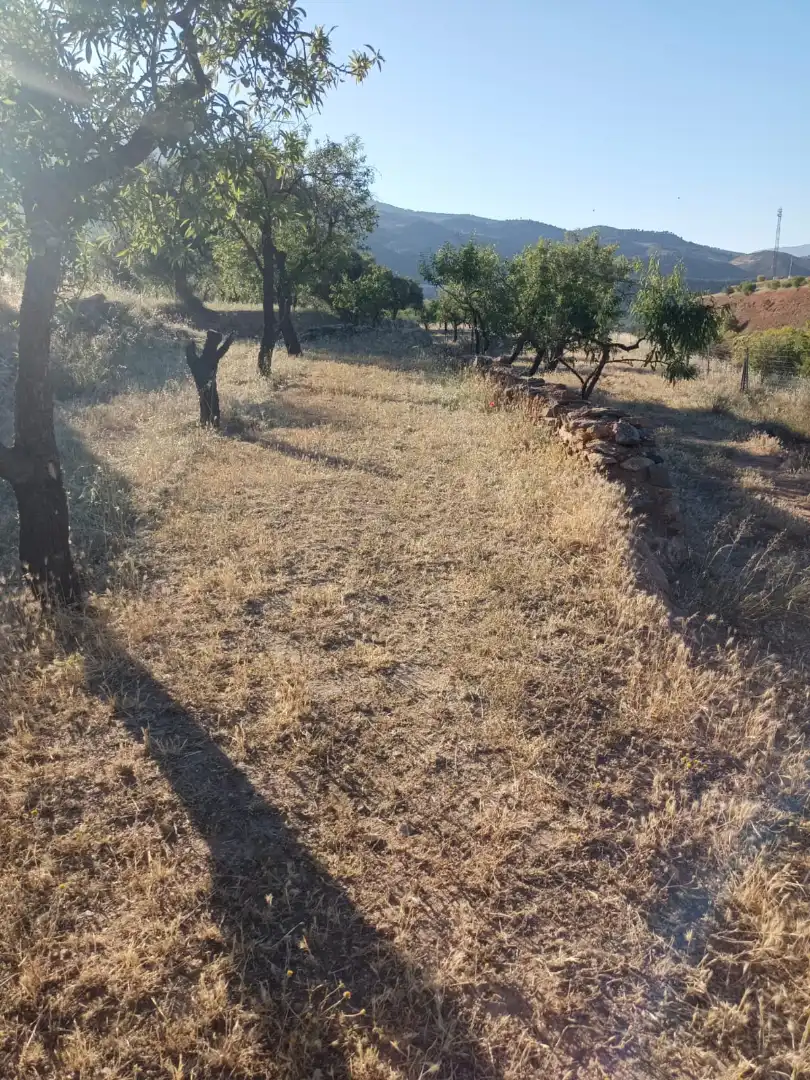 Rural land for sale in Nigüelas, imagen 9
