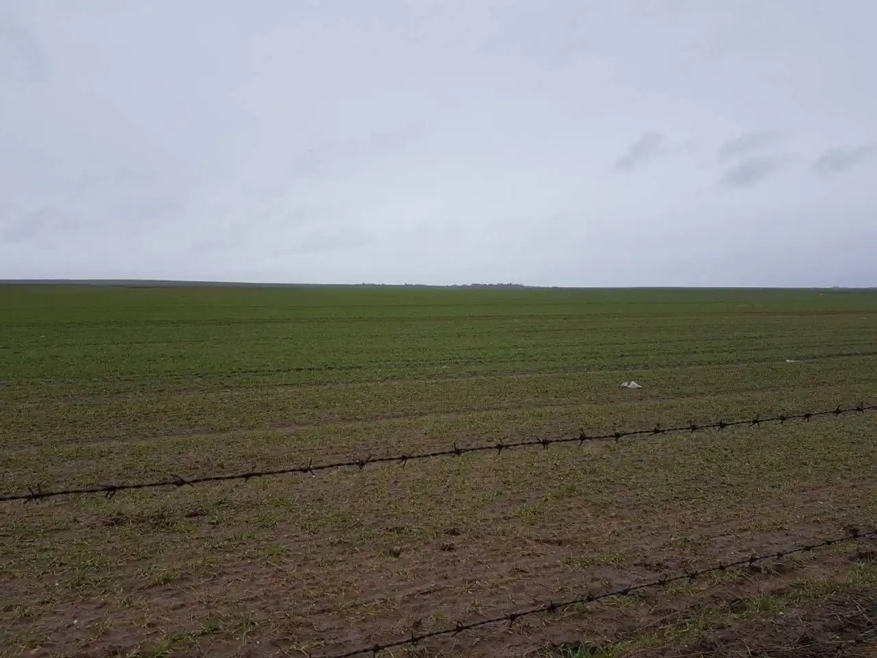 Residential land for sale in Robleda-Cervantes, imagen 2