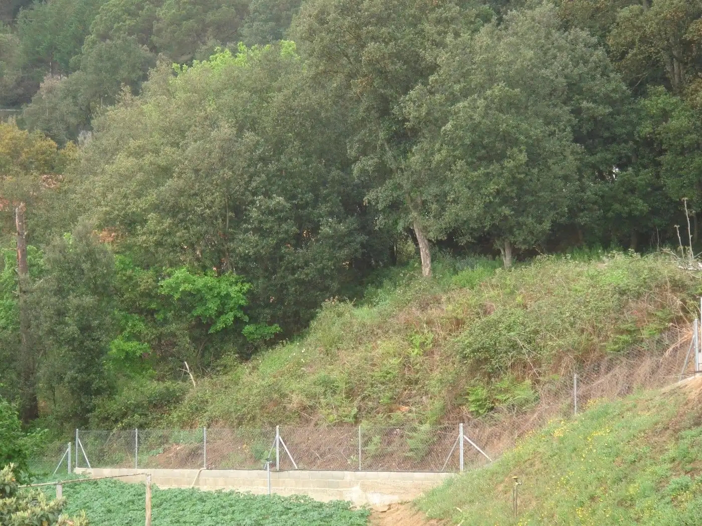 Terreno residencial en venta en Lloc Can Puigdemir 8H, imagen 13