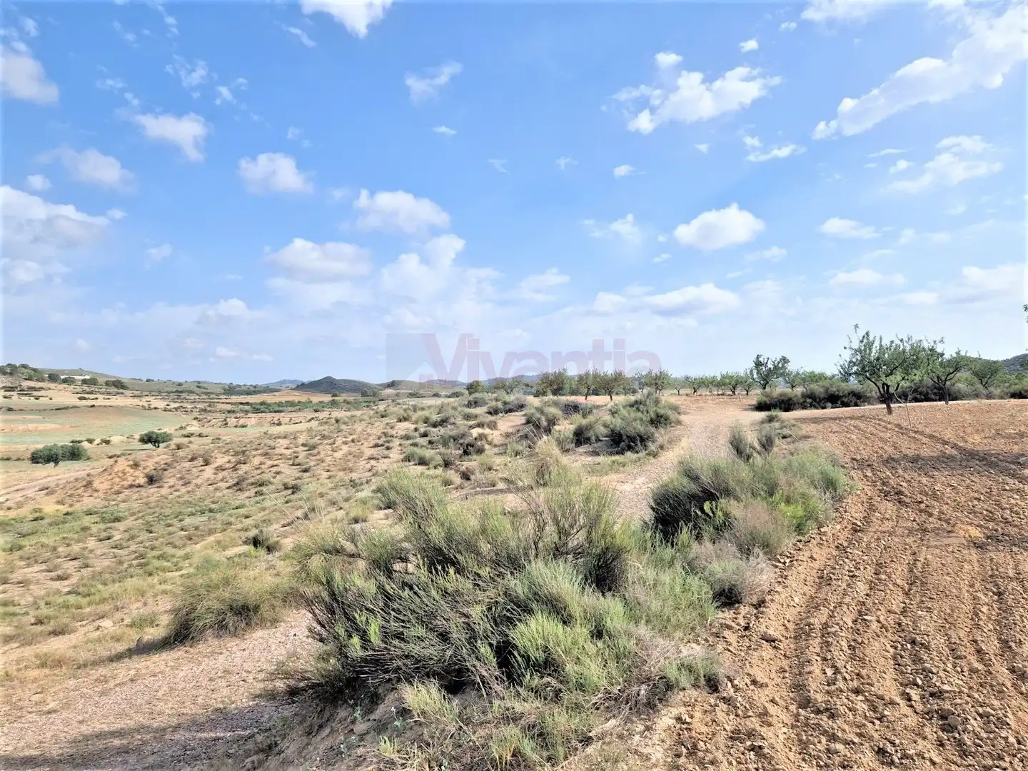 Casa o chalet en venta en Lorca