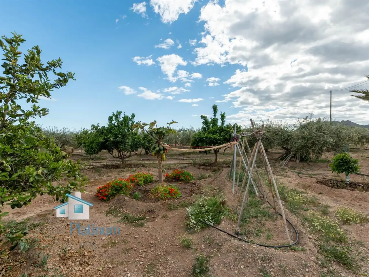 Finca rústica en venta en Águilas con Trastero y Amueblado