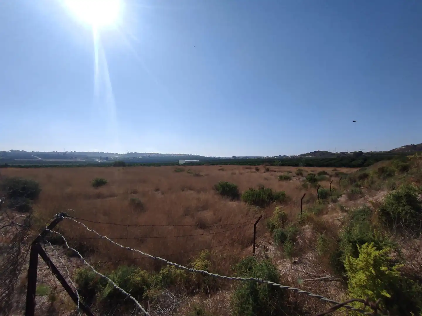 Terreno rústico en venta en Algorfa, imagen 4