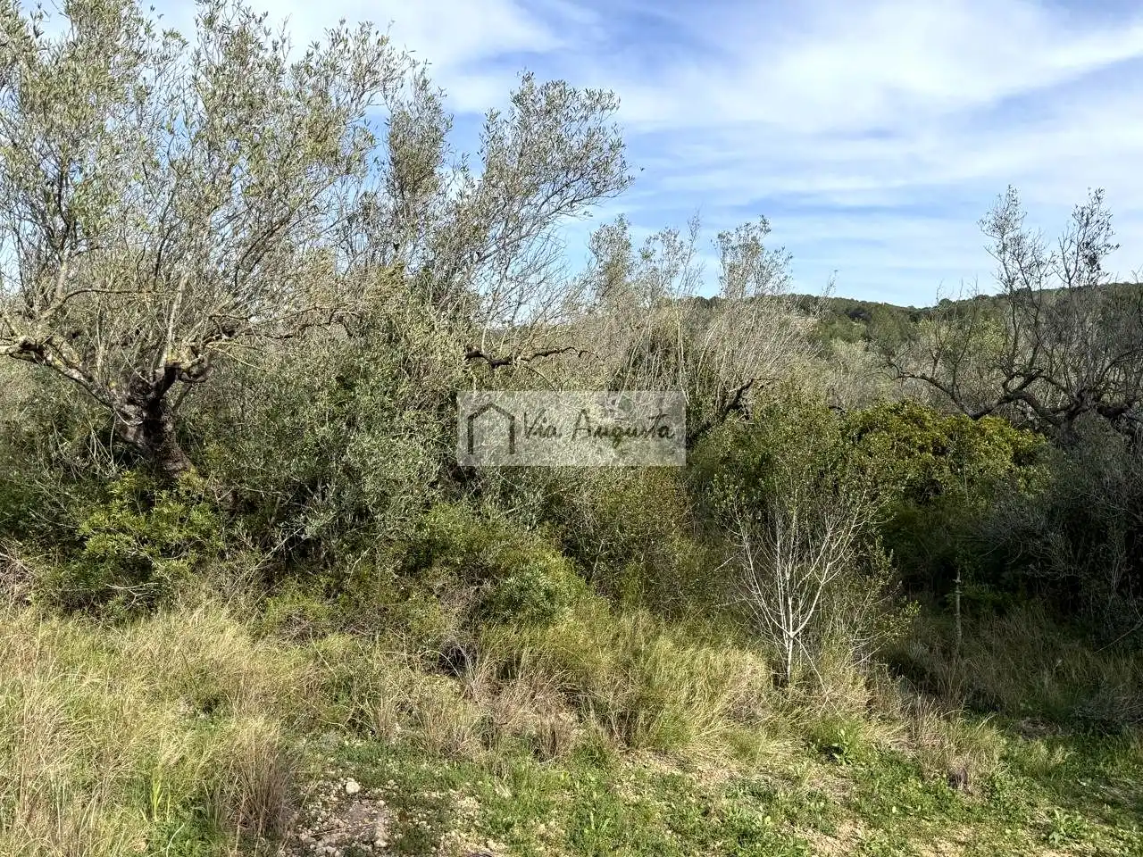 Terreno rustico in vendita a oliveres, imagen 14