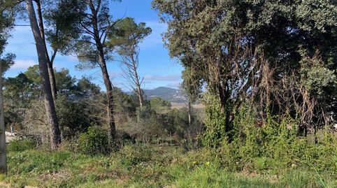 Fantastico Terreno Unifamiliar, imatge 5