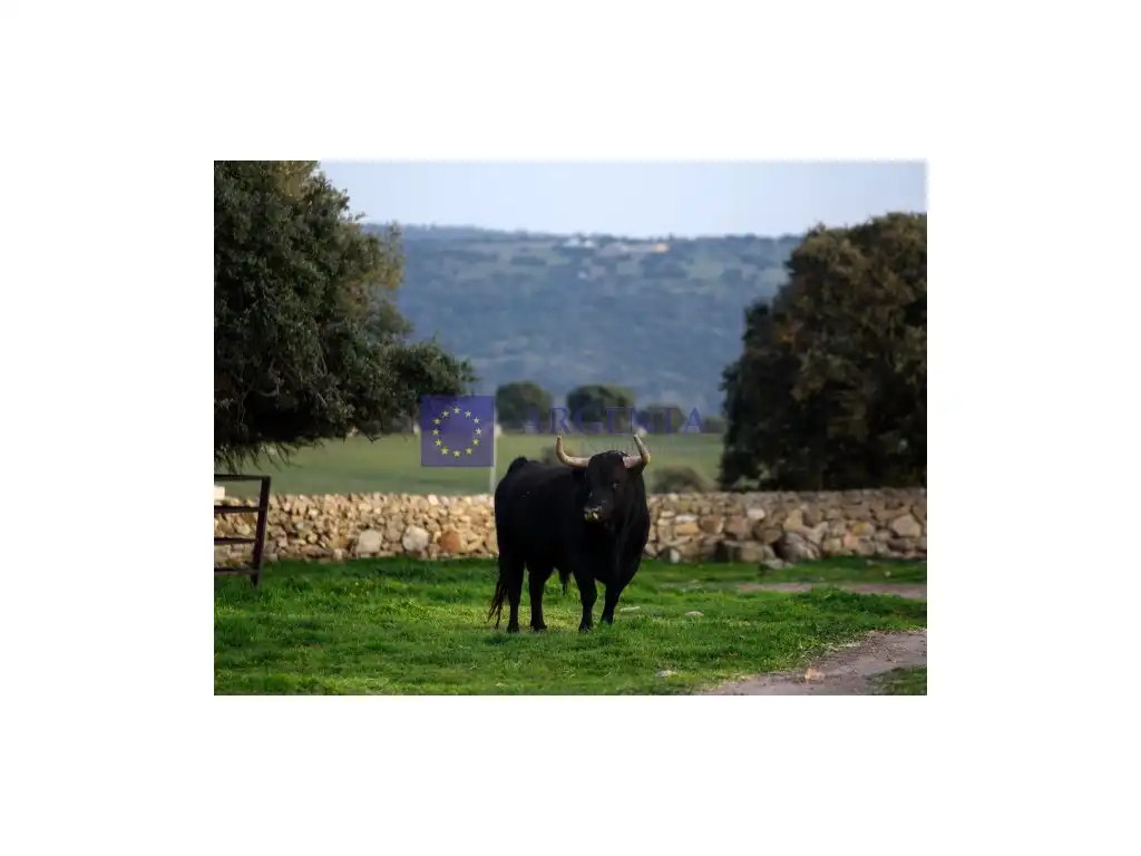 Maison à vendre à Camino Calzadilla, imagen 4