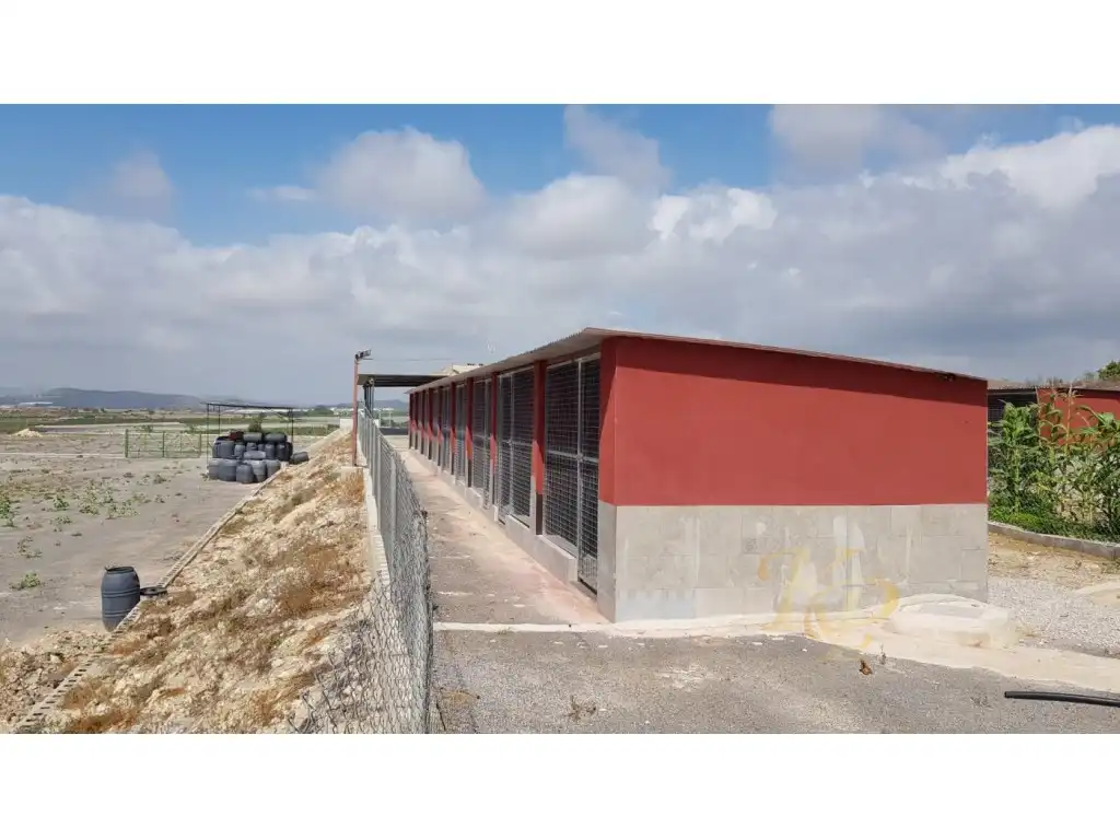 Casa en venta en Los Montesinos, imagen 15
