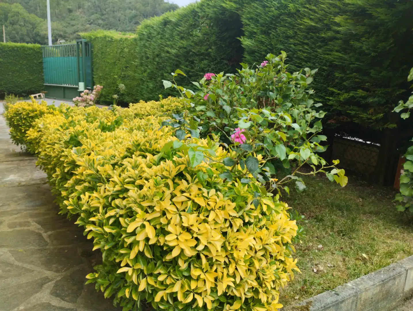 Jardín de Casa o chalet en venta en Hazas de Cesto con Calefacción, Jardín privado y Terraza