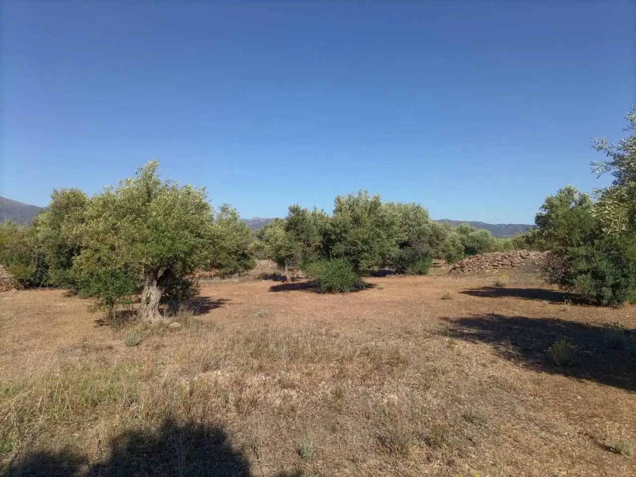 Terrain résidentiel à vendre à Xerta, imagen 7