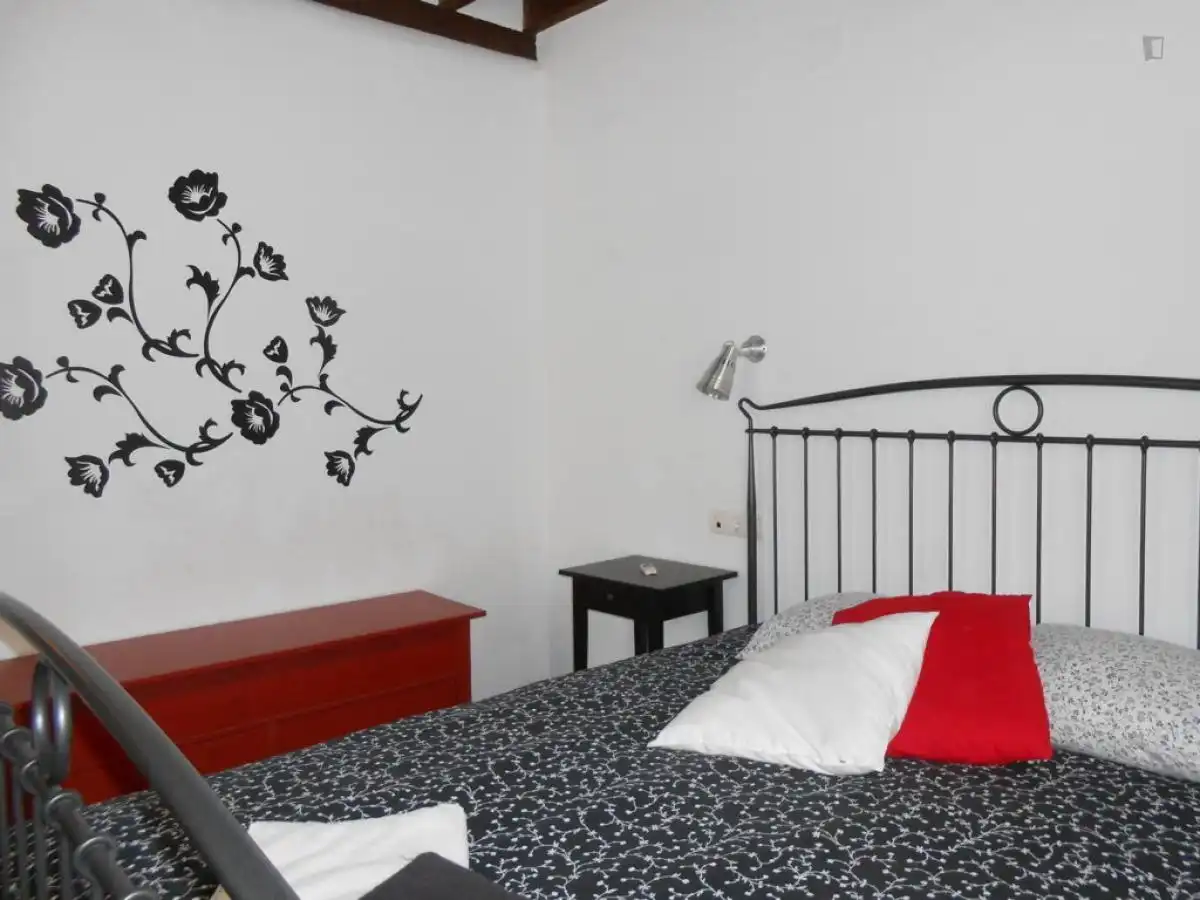 Apartments for rent in Centro - Sagrario