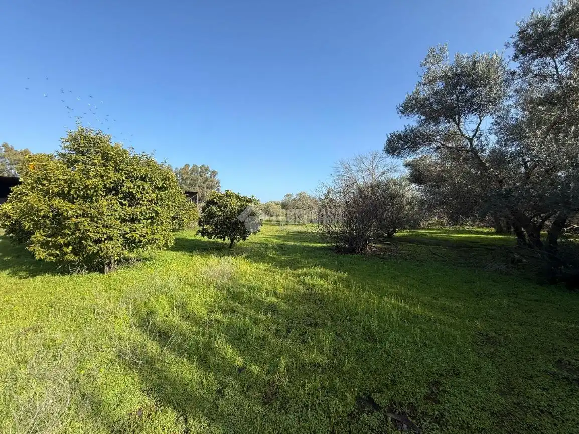 Terreno en venta en Arahal