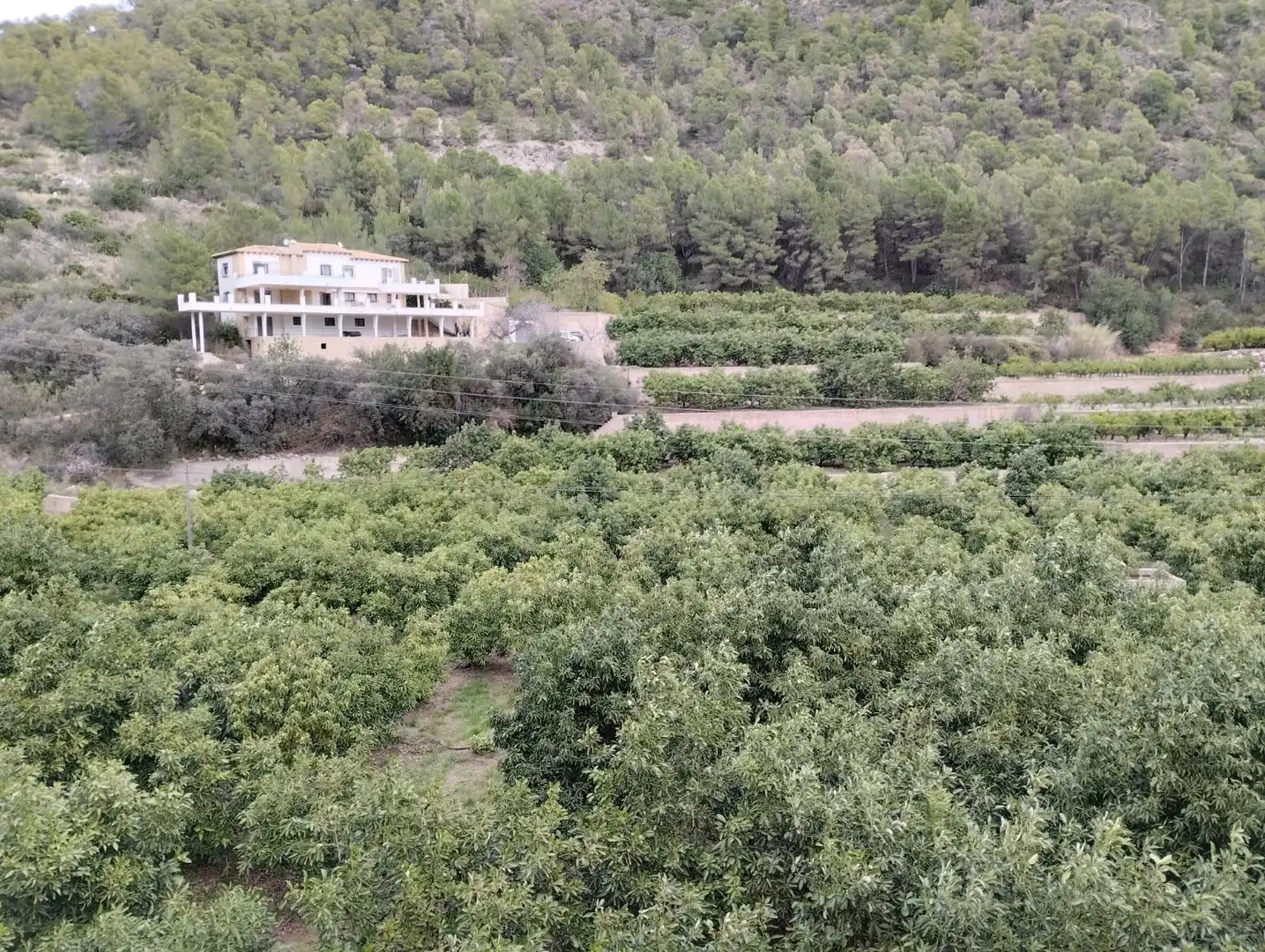 Xalet amb piscina en venda a L'Atzúbia, imagen 2