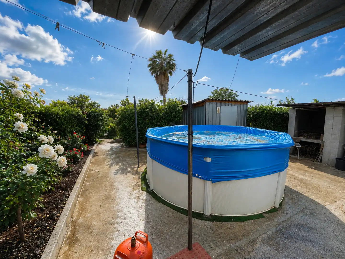 Piscina de Finca rústica en venta en Murcia con Jardín privado, Trastero y Piscina