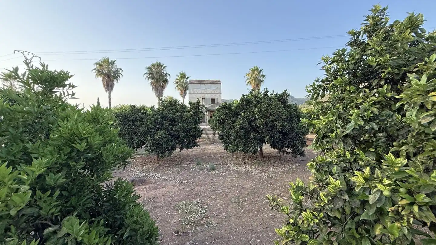 Casa rustica con piscina in vendita a Carcaixent, imagen 43