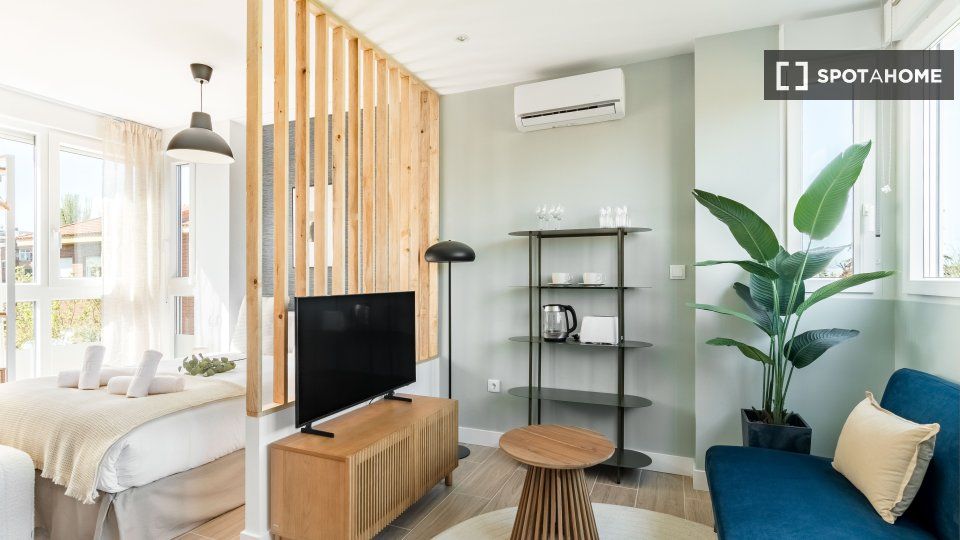 Living room of Flat to rent in  Madrid Capital  with Air Conditioner, Heating and Furnished