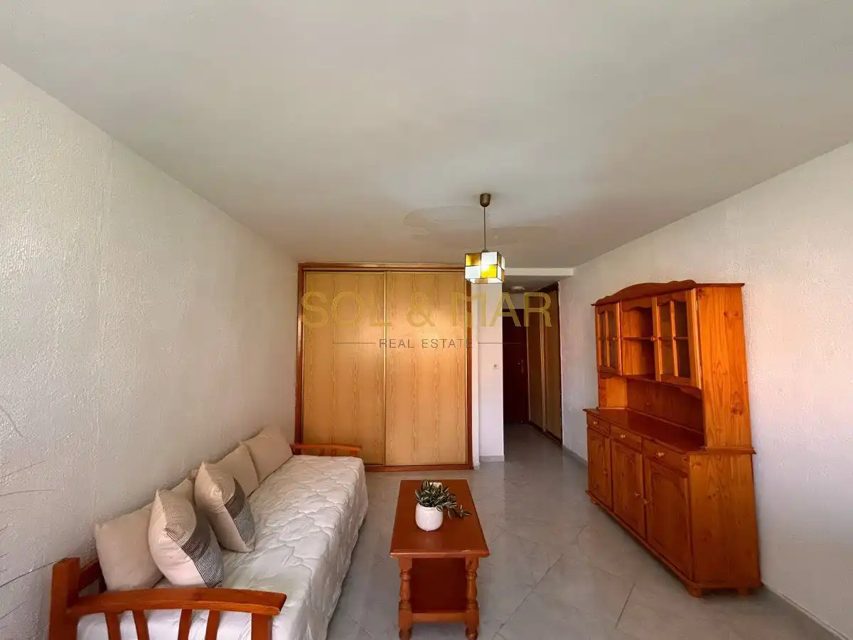Sala d'estar de Estudi en venda en Torremolinos amb Aire condicionat i Calefacció