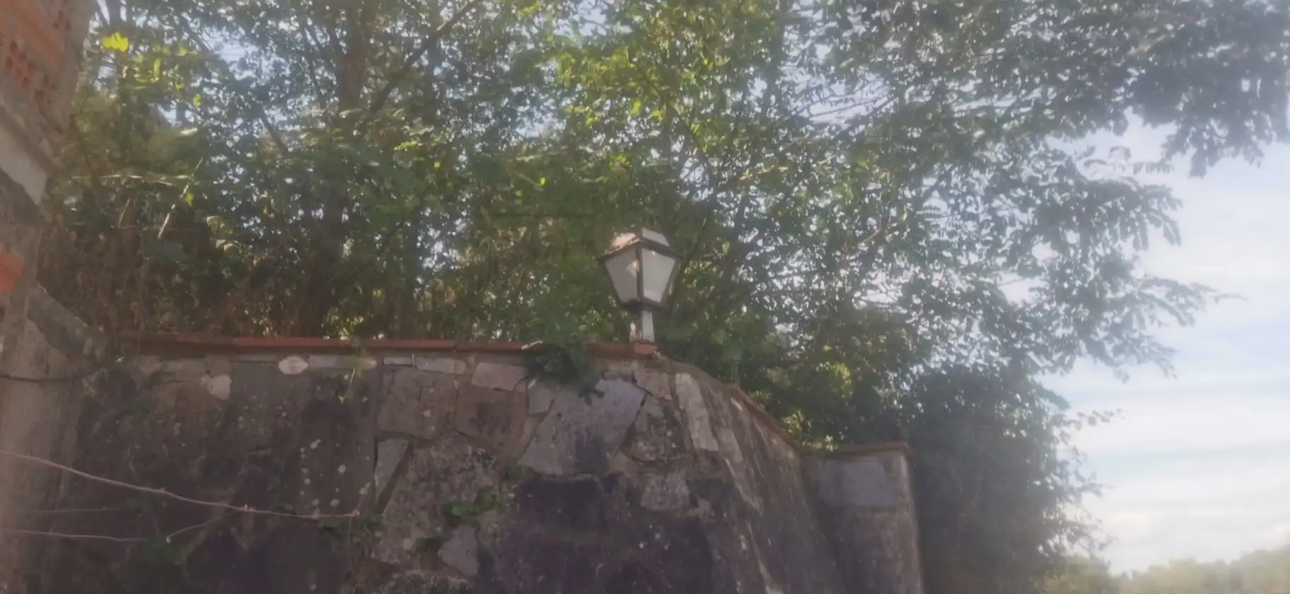 Jardín de Finca rústica en venta en Palol de Revardit con Jardín privado, Terraza y Trastero
