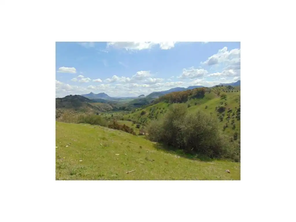 Maison à vendre à Algodonales, imagen 9