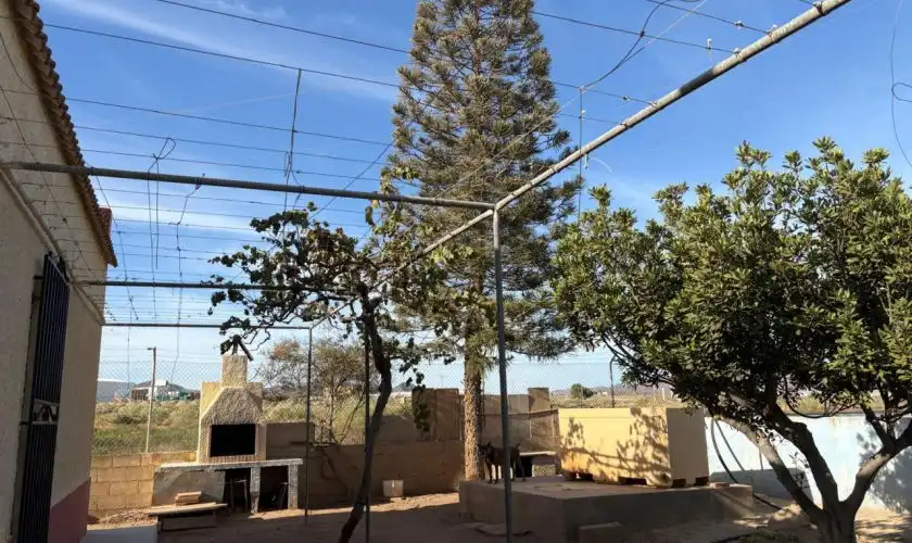Jardí de Casa o xalet en venda en Níjar amb Jardí privat, Terrassa i Piscina