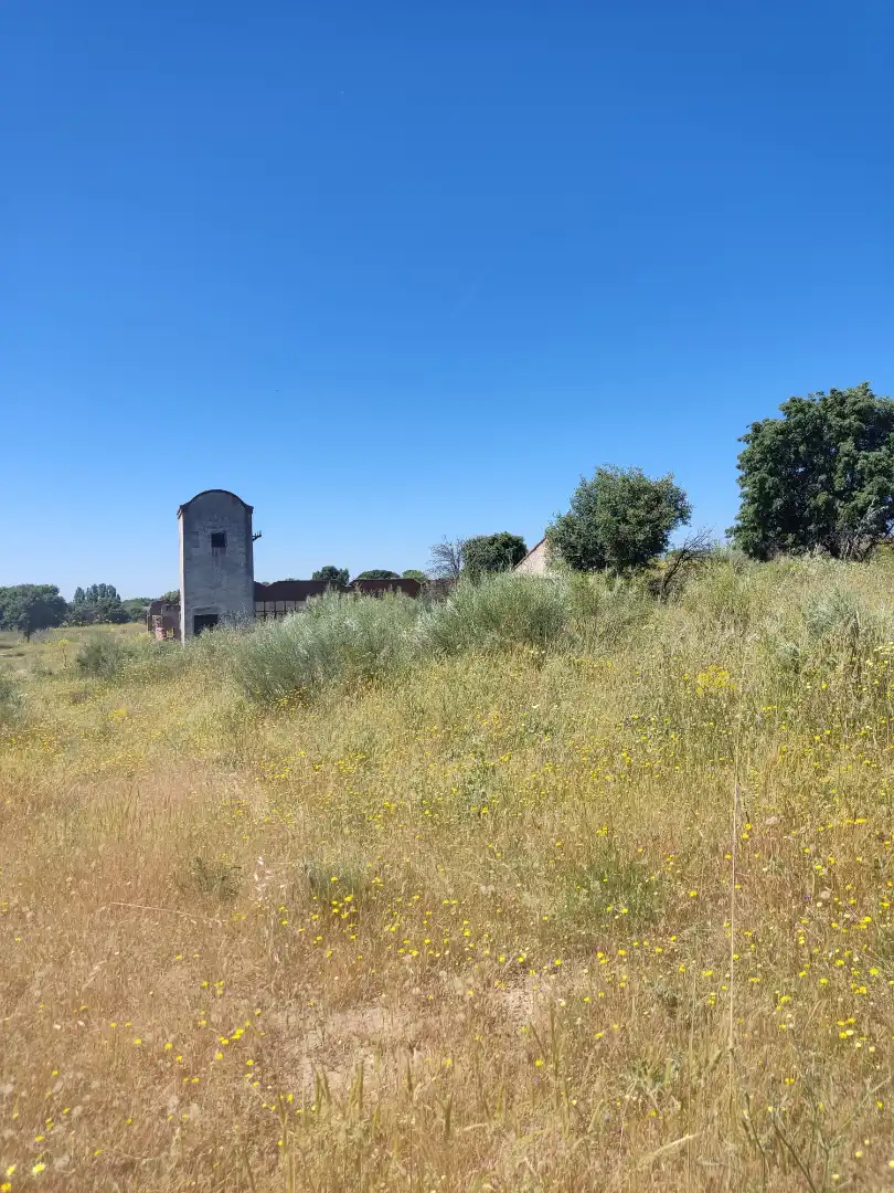 Land for sale in Navalcarnero