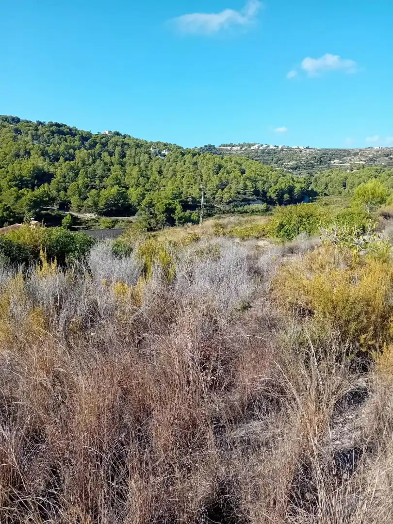 Terreno residencial en venta en Teulada, imagen 3