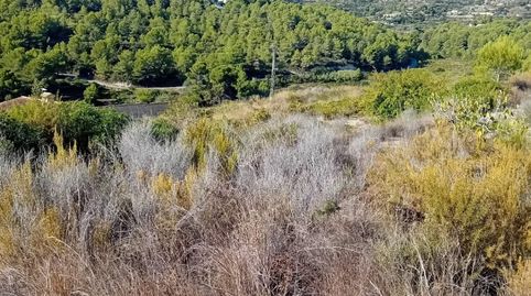 Preciosa Finca en Moraira, immagine 3