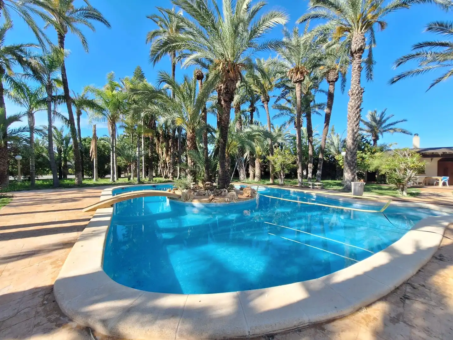 Piscina de Casa o chalet en venta en Elche / Elx