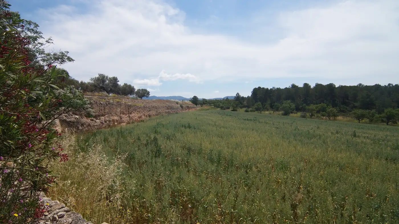 Terreno en venta en Ginestar