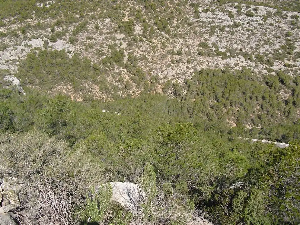 Rural land for sale in CL Isla Mancolibre, imagen 8