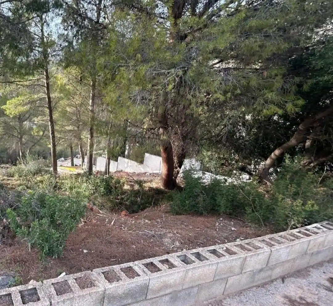 Terreny residencial en venda a Altea la Vella, imagen 3