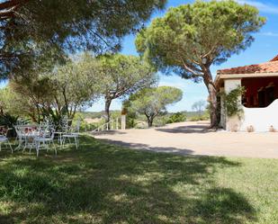 Jardí de Finca rústica en venda en Lepe amb Aire condicionat