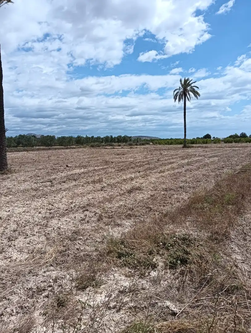Terreno en venta en Elche / Elx