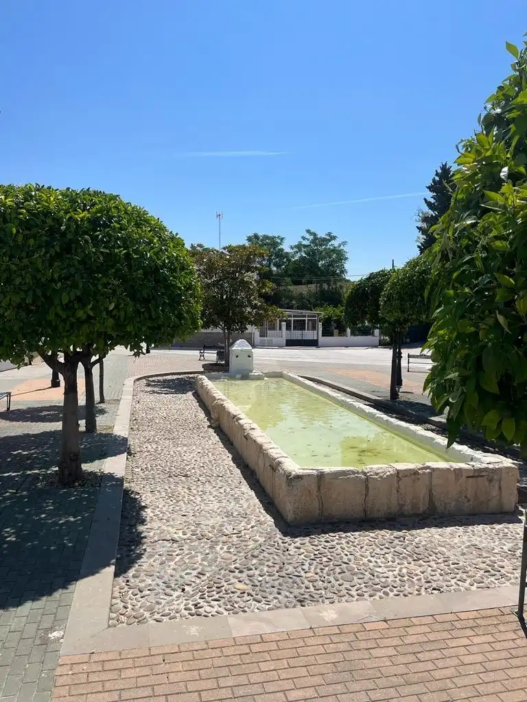 Casa o chalet en venta en Calle LUCENA-JAUJA, Navas del Sepillar