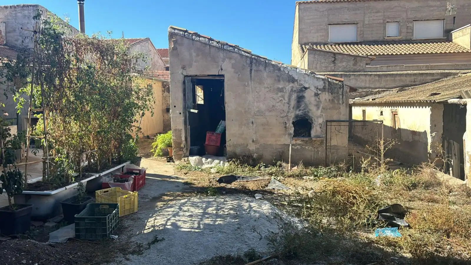 Terrenos y solares en venta en Pliego, imagen 2