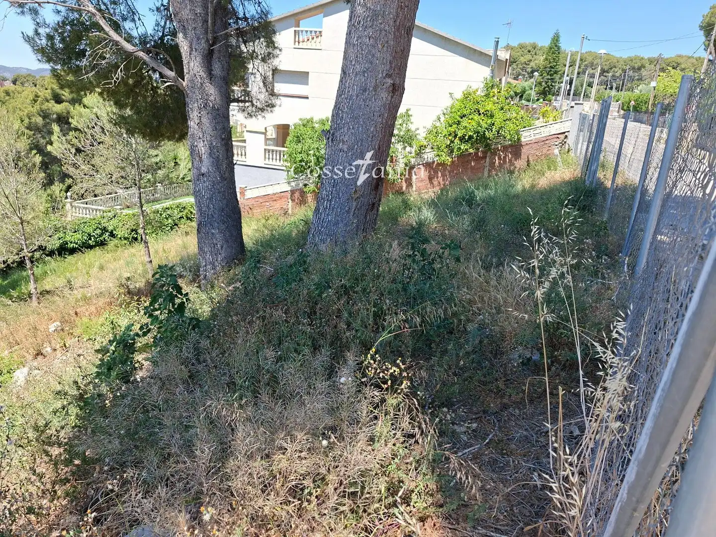 Terreno rustico in vendita a Llorens, imagen 5