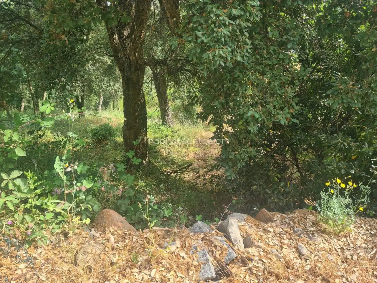 Terreno residencial en venta en Calle Gírgola 11, imagen 7