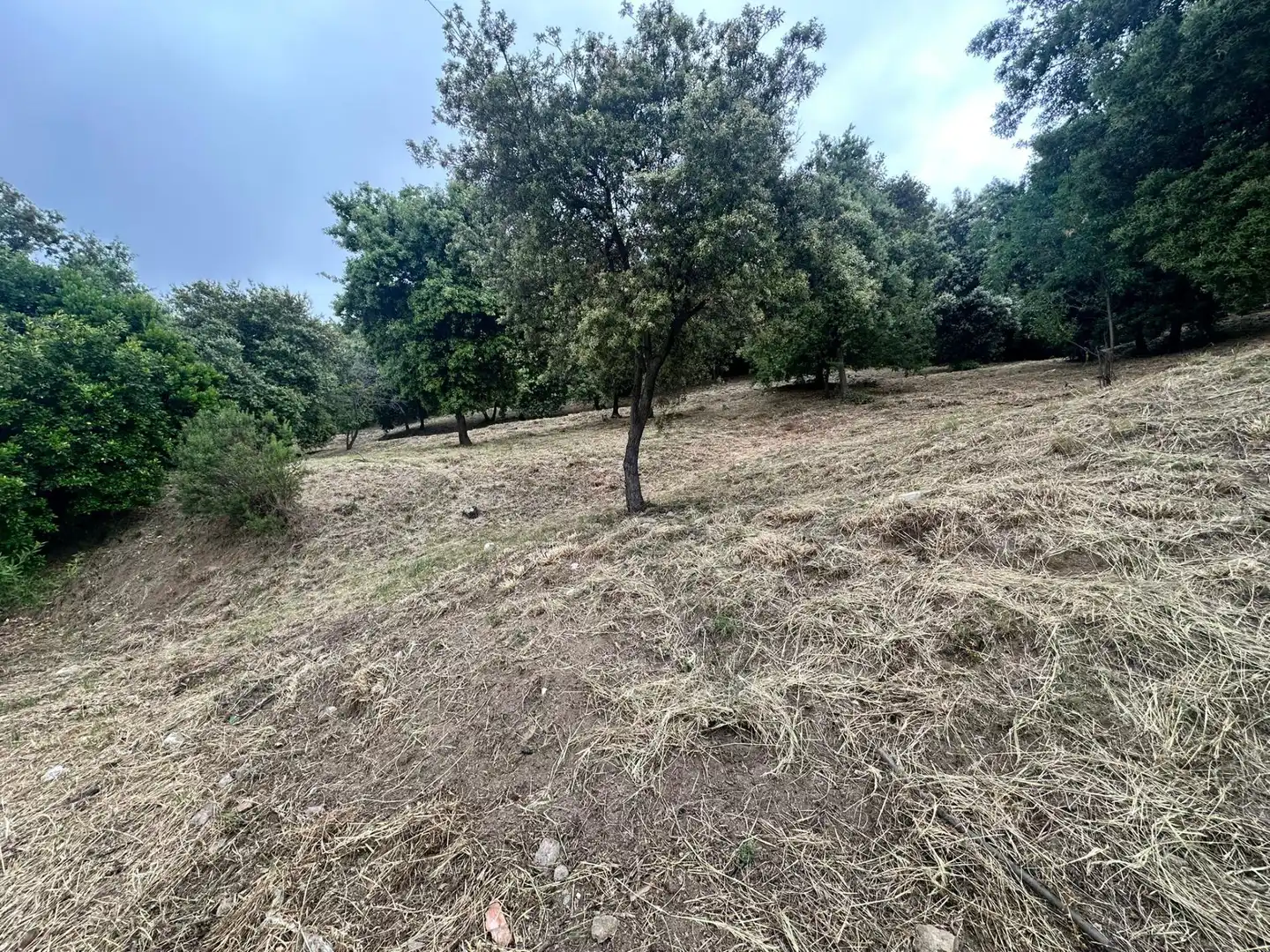 Lands and plots for sale in Caldes de Montbui, imagen 17