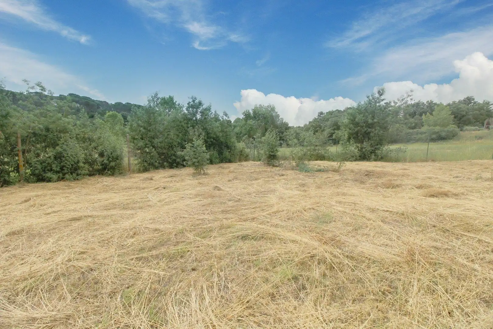 Casa en venta en Mas Altaba - El Molí, imagen 12