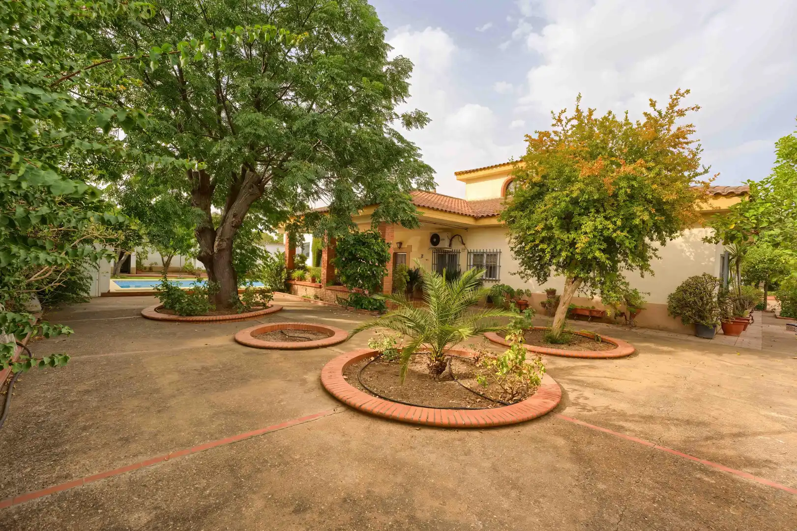 Jardí de Casa o xalet en venda en Carmona amb Jardí privat, Terrassa i Piscina