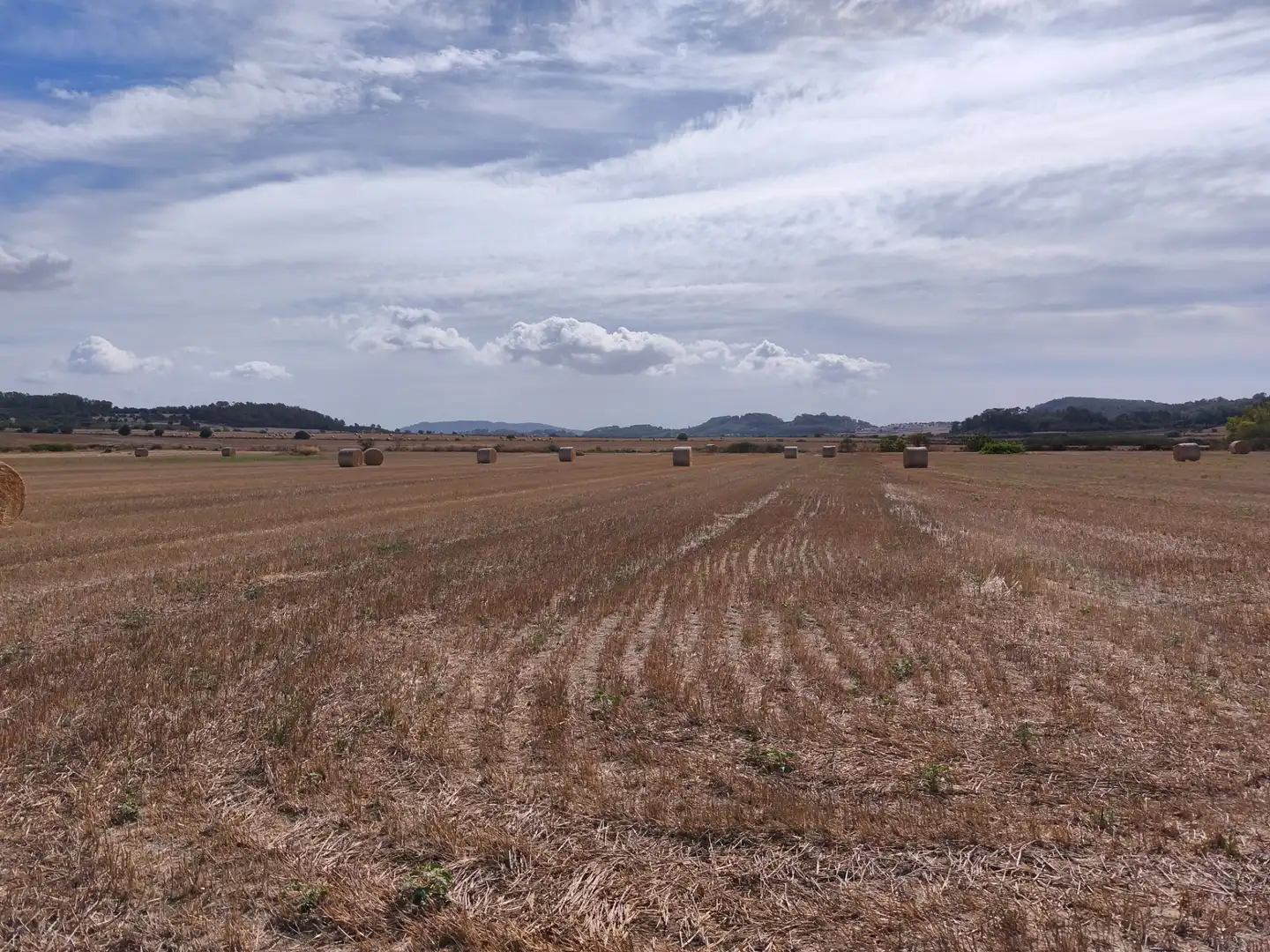 Terreno rustico in vendita a Diseminado Varis 217