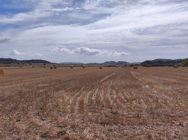 Terreno rustico in vendita a Diseminado Varis 217