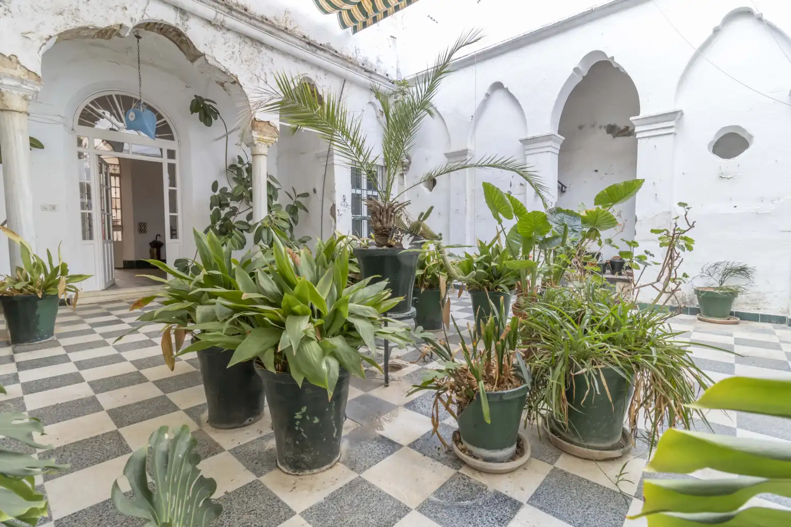 Jardí de Casa adosada en venda en El Viso del Alcor