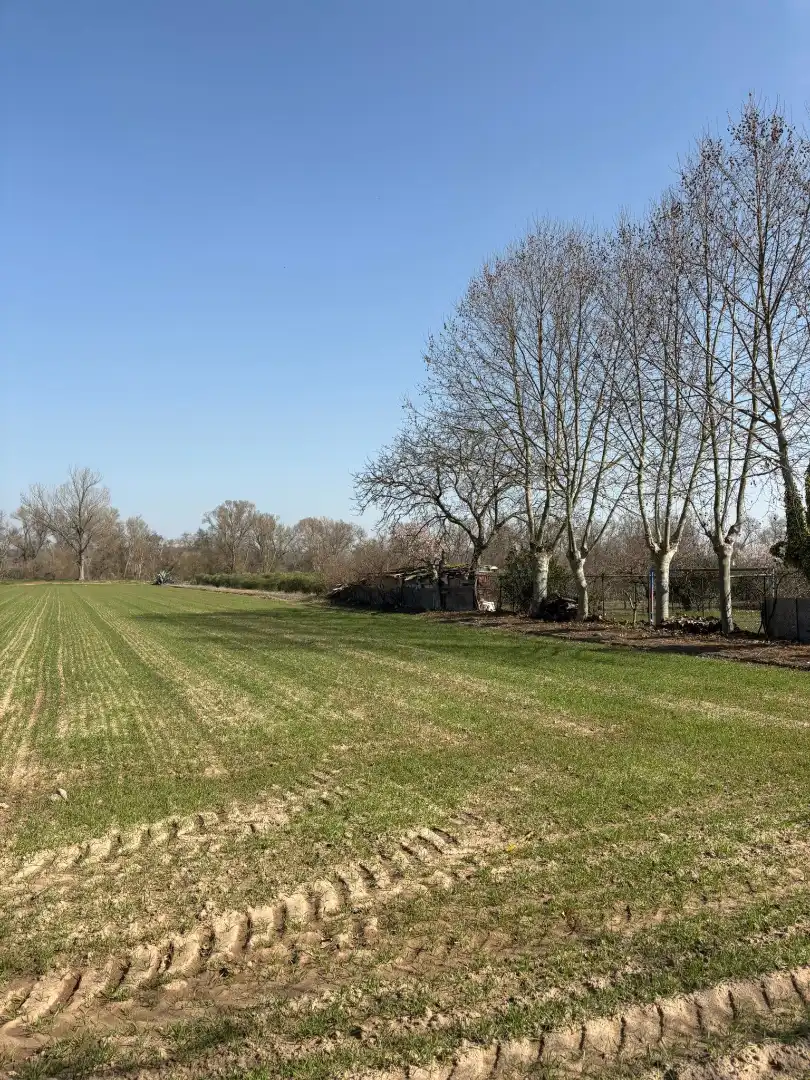 Terreno rustico in vendita a Arrúbal, imagen 3