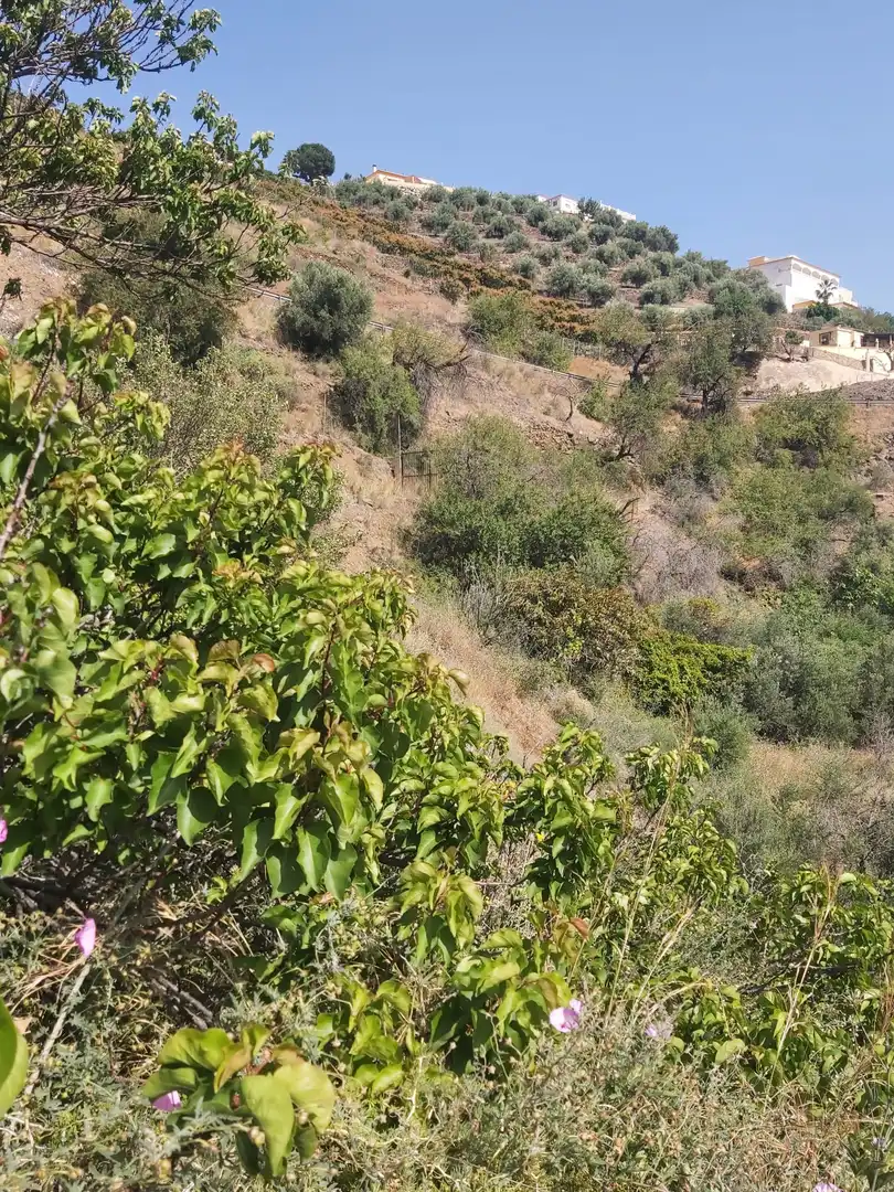 Terreni e lotti in vendita a Torrox Pueblo, imagen 8