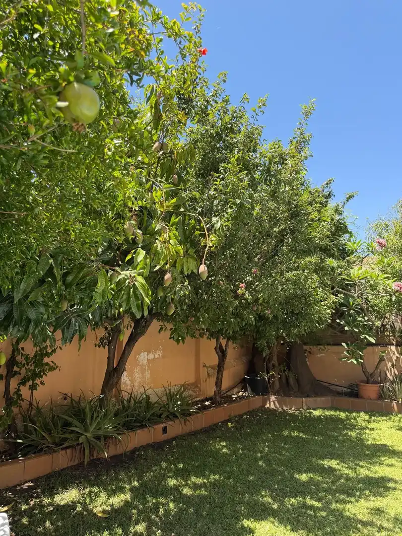 Garden of Houses for sale in Rincón de la Victoria  with Air Conditioner, Terrace and Storage room